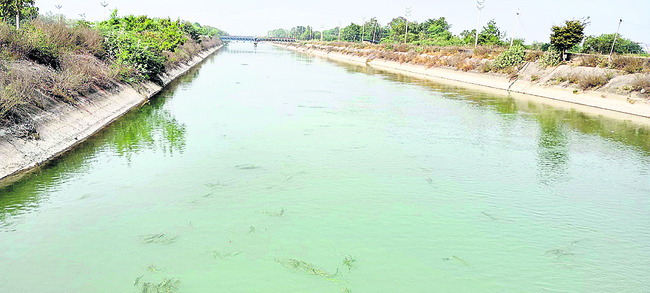 నేటి నుంచి ఎస్సారెస్పీ నీటి విడుదల1