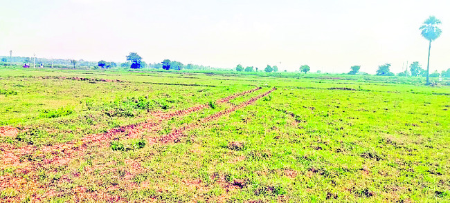 పూడికతీత పనుల్లో ఆలస్యం1
