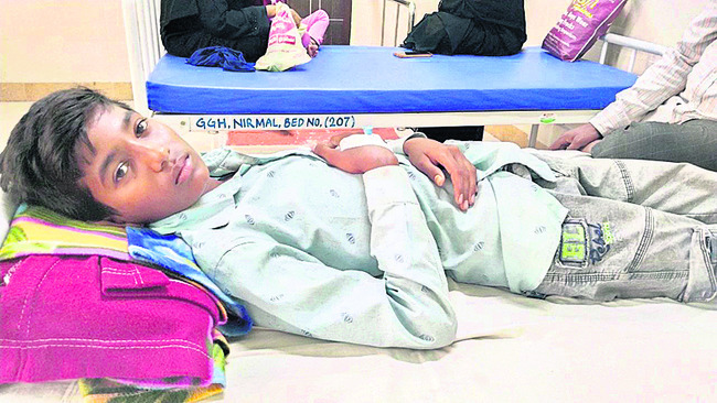 విషజ్వరాల విజృంభణ2