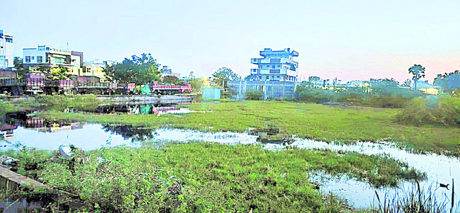 కృష్ణాజిల్లా1