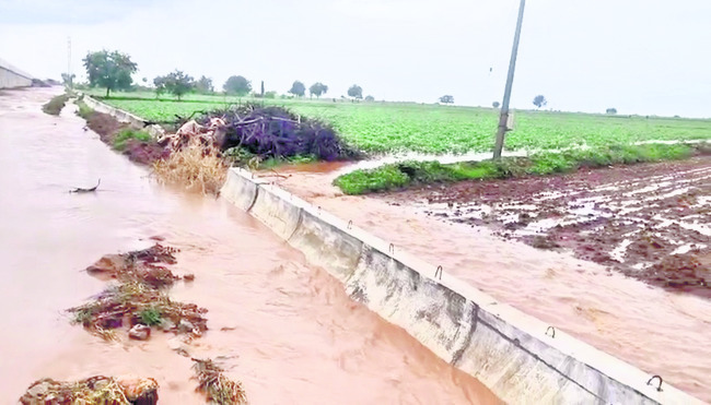 పొలాలకు ముప్పు..! 1