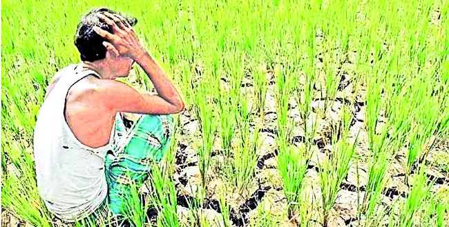 అరకొరగా ‘సుఖీభవ’..అన్నదాత దుఃఖీభవ! 
1
