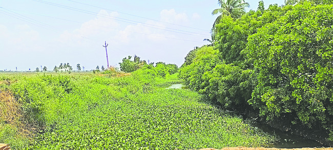 ఖరీఫ్‌..అసేద్యం!1