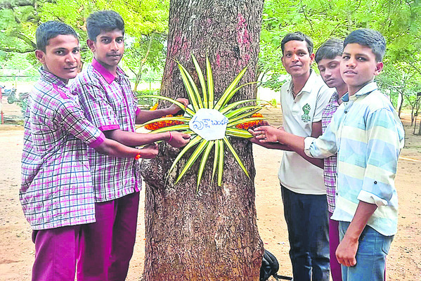 Students tying rakhi to a tree2