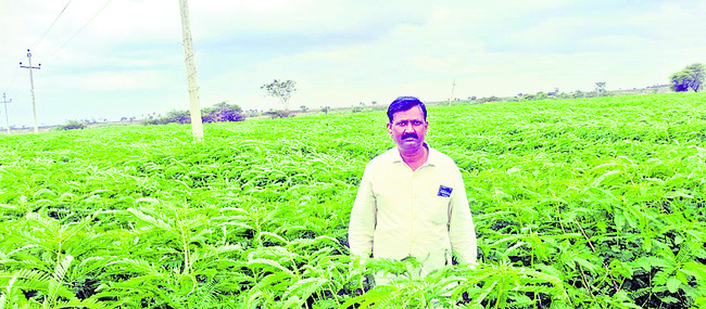 సేంద్రియ సాగు.. ఆరోగ్యం బాగు1
