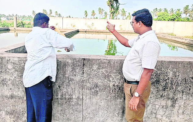 జోరుగా చేపనారు ఉత్పత్తి 2