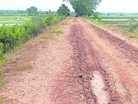 మట్టి, చెట్లు మాయం1