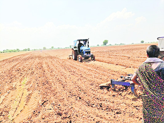 సాగులో ఉన్న పంట ధ్వంసం 2