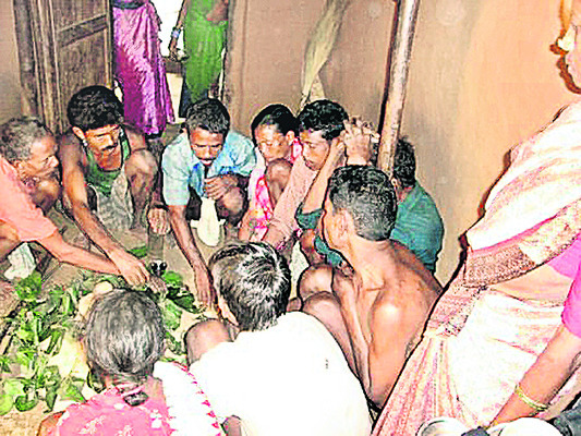 అడవితల్లి ఒడిలో ప్రశాంత జీవనం3