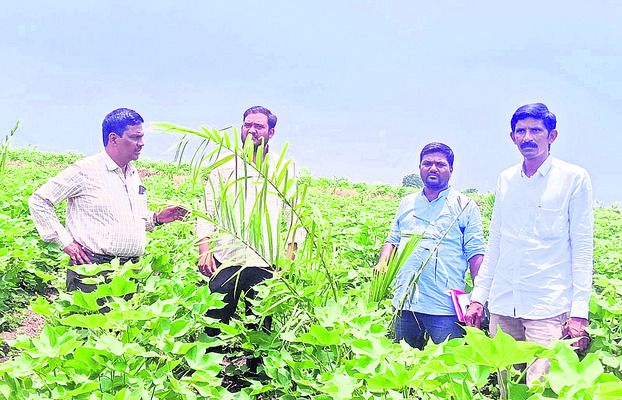 కోర్టు భవన నిర్మాణానికి భూమిపూజ
1