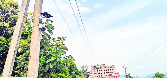 గాయత్రీమాతకు  పసుపు కొమ్ములతో అలంకరణ 3