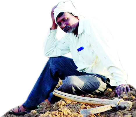 సుఖీభవ కొందరికే.. 1