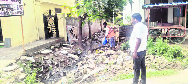 వర్షాలతో అన్ని రకాల పంటలకు మేలు 1