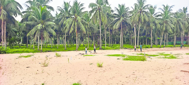 సాగుకు పంటగెక్కడ!3