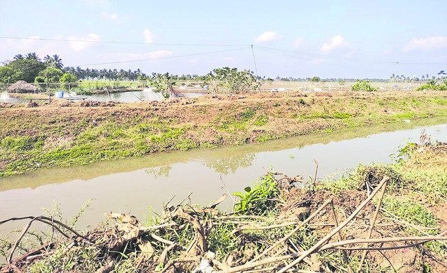 సాగుకు పంటగెక్కడ!1