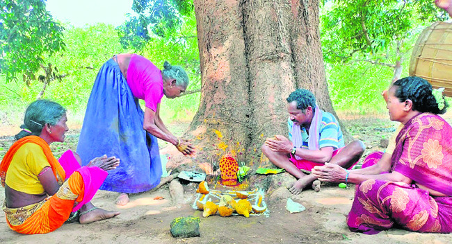 అడవి తల్లి బిడ్డలు.. కొండరెడ్డి గిరిజనులు 5