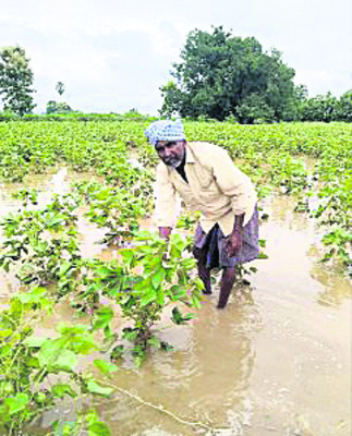 కుంటాలలో భారీ వర్షం1