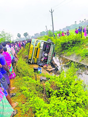 మొక్కలతోనే పర్యావరణ పరిరక్షణ 3