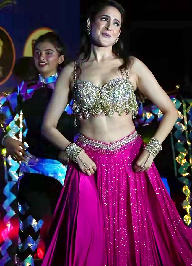 APL Season 4 opening ceremony at visakhapatnam photos5