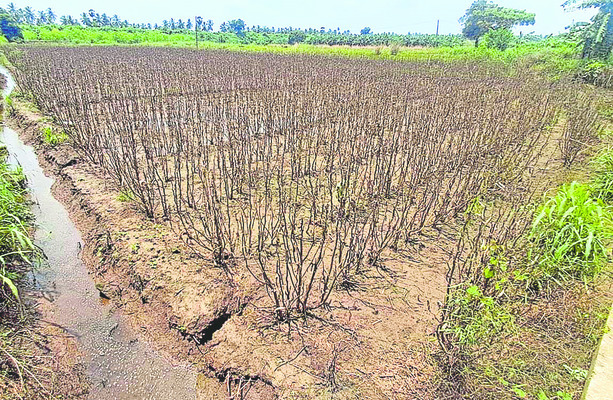 జల దిగ్బంధం2