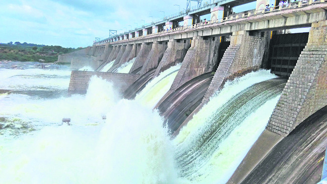 కుక్కల దాడి.. గొర్రెలు మృతి
1
