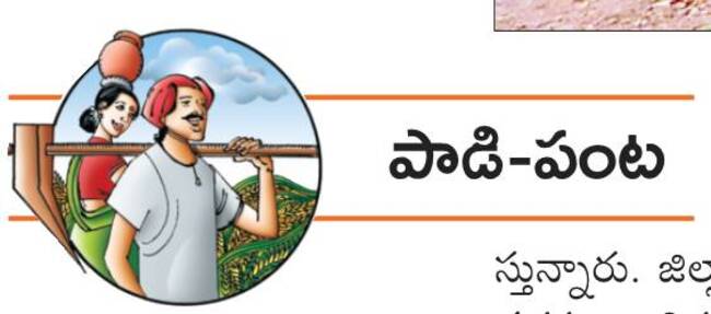 గాలికుంటు.. తరిమికొట్టు1