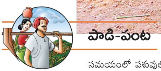 గాలికుంటు.. తరిమికొట్టు1