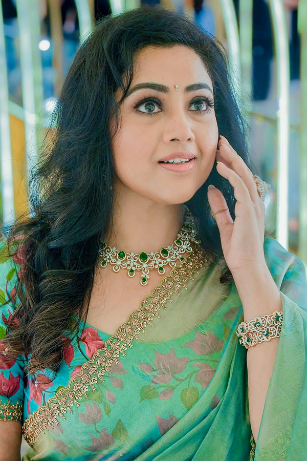 Actress Meena beautiful Looks in saree Photos3