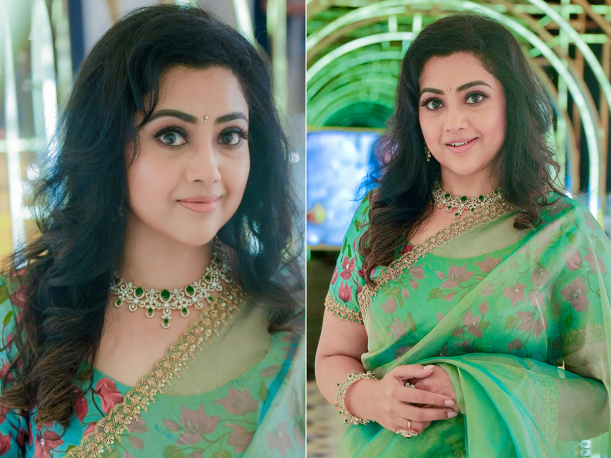 Actress Meena beautiful Looks in saree Photos1