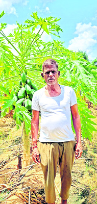పంట మార్పిడితో లాభాల బాటలో..2