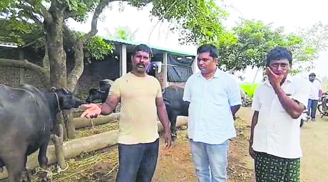 ఏమైందో ఏమో!1