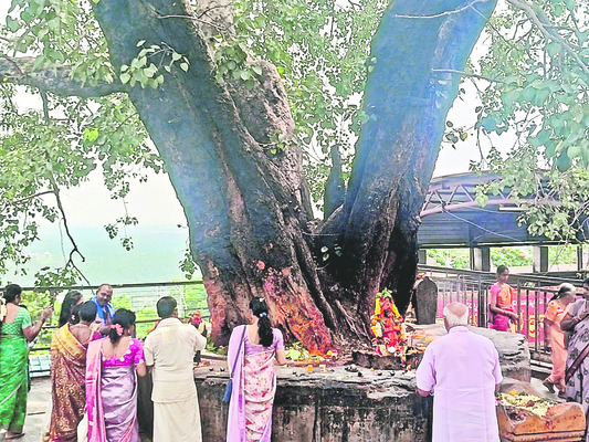 అశ్వత్థానికి దీపపుసెగ 1