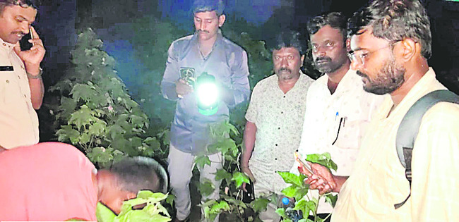 పంటల సస్యరక్షణపై అవగాహన 
2