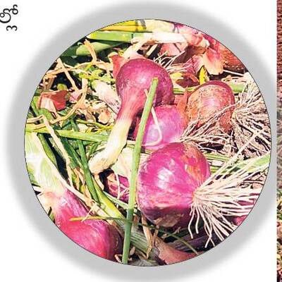 కష్టం మట్టిపాలు!2