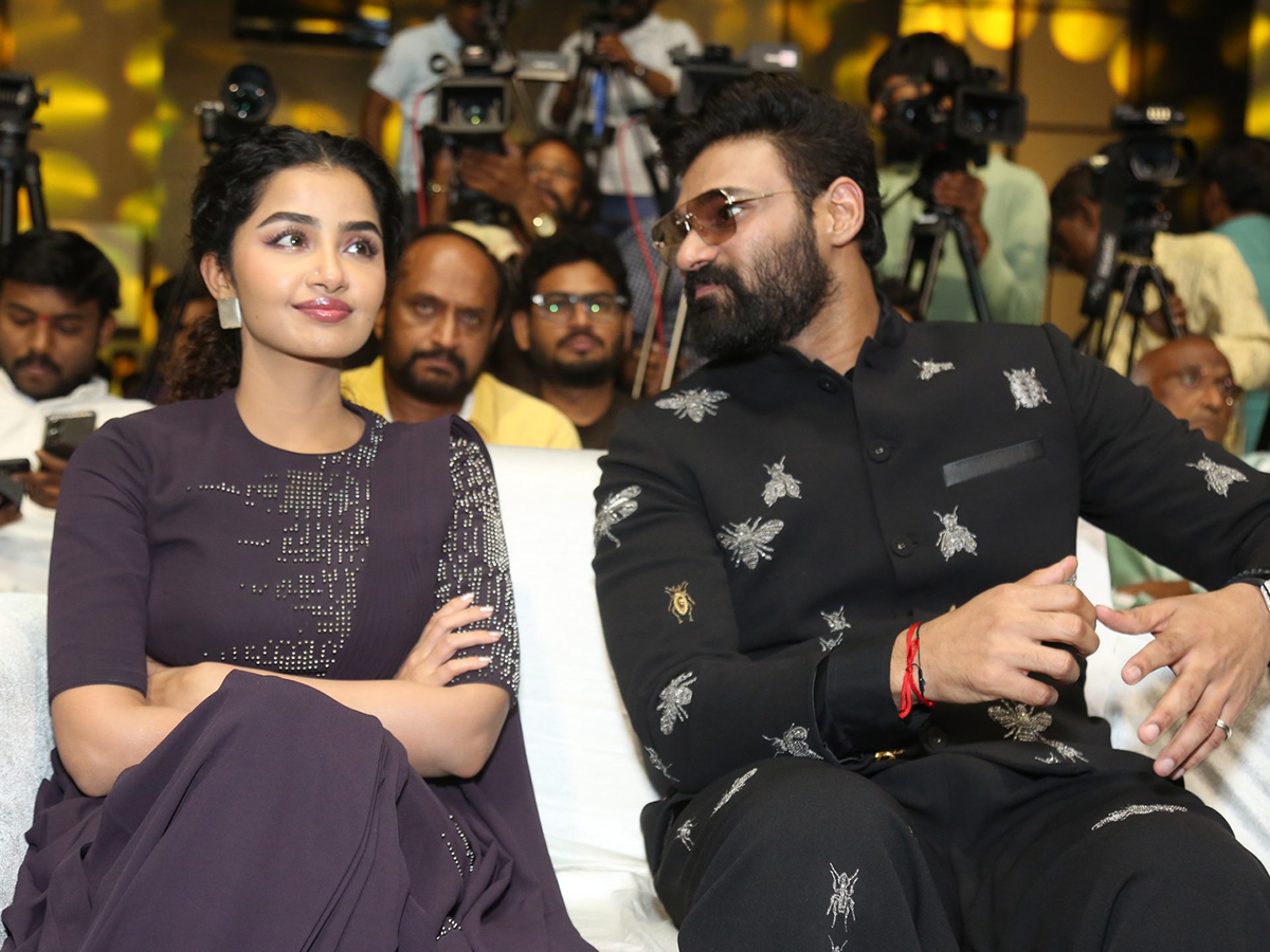 Kishkindhapuri Movie Grand Pre Release Event 11