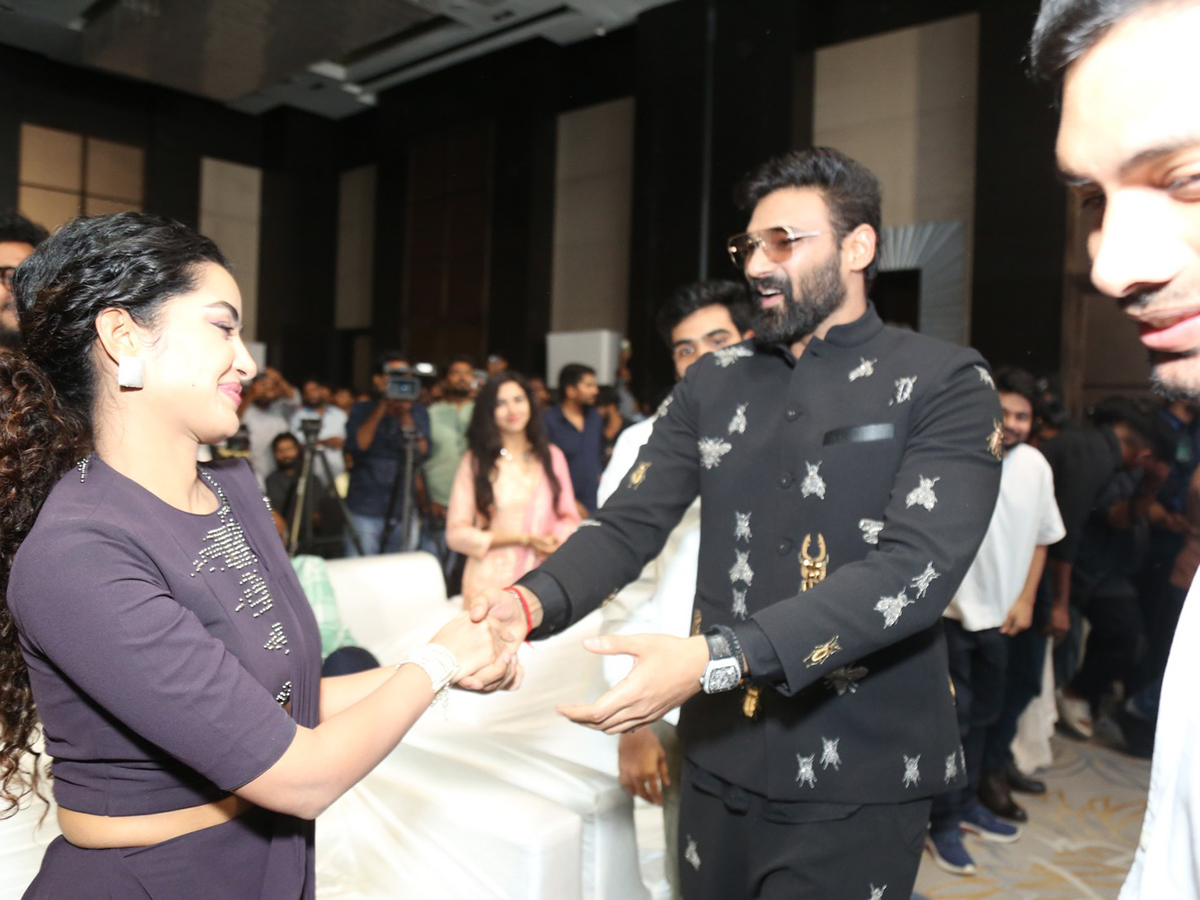 Kishkindhapuri Movie Grand Pre Release Event 8