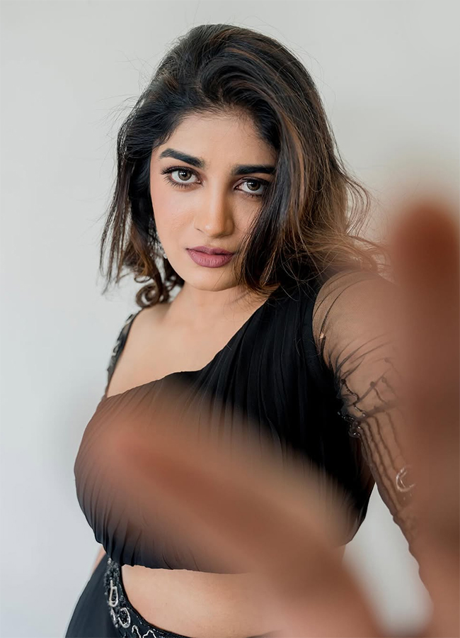 Tollywood Actress Dimple Hayathi Birthday Special Photos12