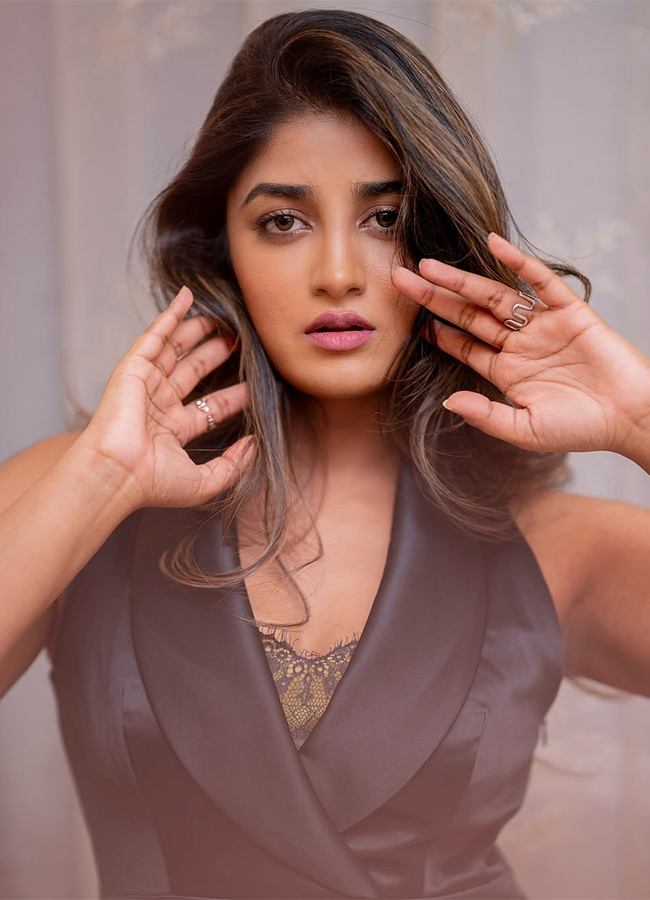 Tollywood Actress Dimple Hayathi Birthday Special Photos6