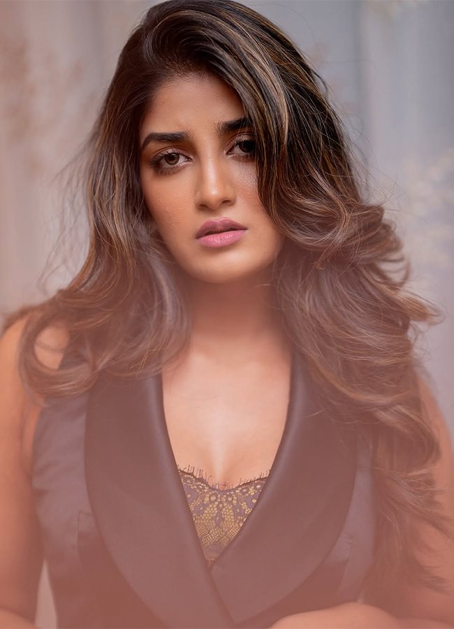 Tollywood Actress Dimple Hayathi Birthday Special Photos8