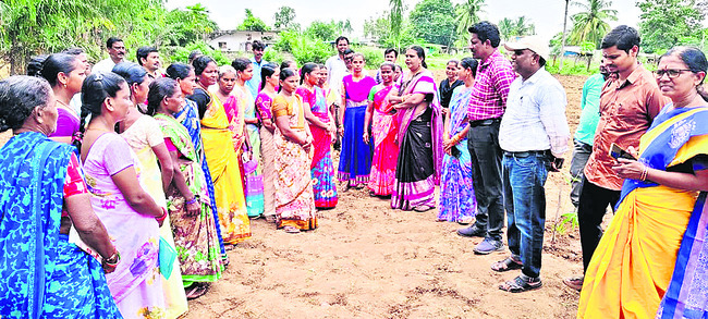 మునగ, వెదురు సాగు లాభదాయకం
1