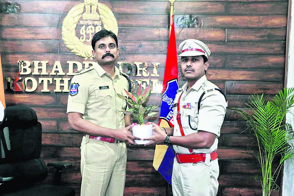 మునగ, వెదురు సాగు లాభదాయకం
3