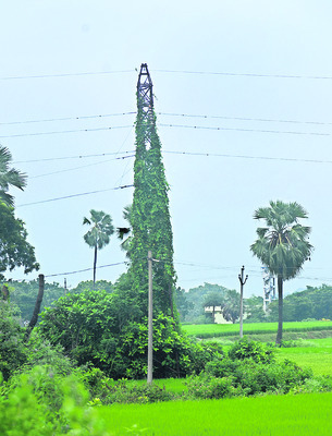 outskirts of Komire, Odela Mandal..2