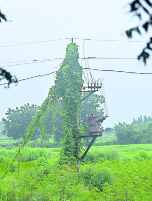 outskirts of Gangaram, Kalvasrirampur mandal3