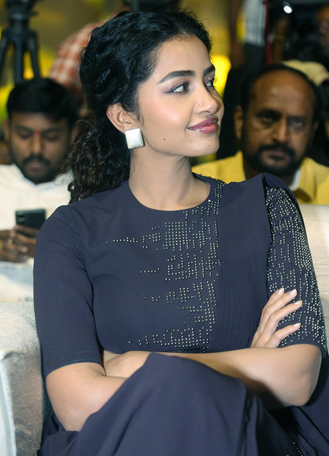 Actress Anupama Parameswaran HD Posters6