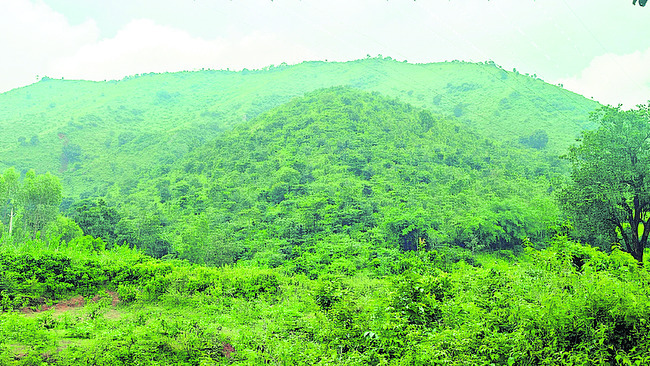 నిరసన గళం1