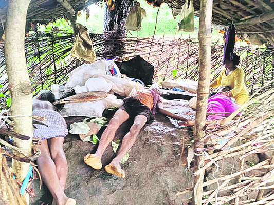 పేదలకు నిత్యావసరాల పంపిణీ 1