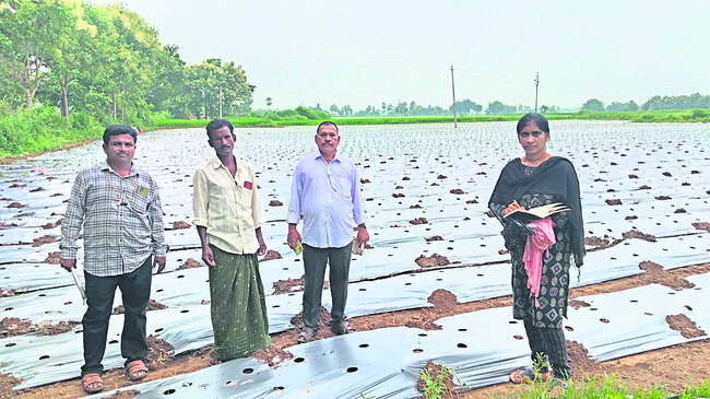అదనపు కలెక్టర్‌  బాధ్యతల స్వీకరణ2