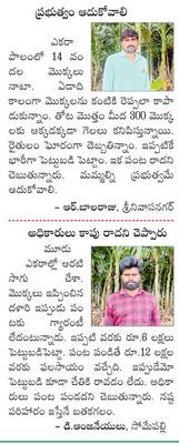 నకిలీ వలలో గెలగిల! 3