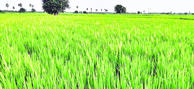ఆదిలోనే హంసపాదు1