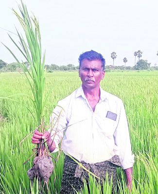 ఆదిలోనే హంసపాదు2